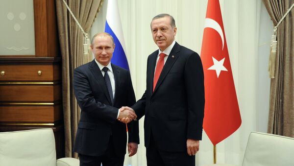 Russian President Vladimir Putin, left, and his Turkish counterpart Recep Tayyip Erdogan shake hands (File) - Sputnik Srbija