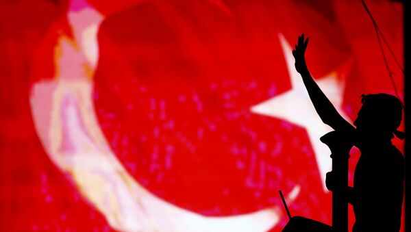 Pristalice turskog predsednika Redžepa Tajipa Erdogana slave neuspeh pokušaja vojnog udara u Turskoj, 16. jun 2016. - Sputnik Srbija