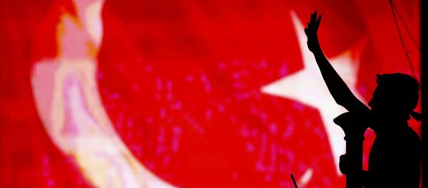 Присталице турског председника Реџепа Тајипа Ердогана славе неуспех покушаја војног удара у Турској, 16. јун 2016. Присталице турског председника Реџепа Тајипа Ердогана славе неуспех покушаја војног удара у Турској, 16. јун 2016. - Sputnik Србија