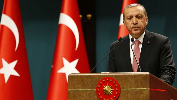 Predsednik Turske Redžep Tajip Erdogan govori na konferenciji za medije nakon Saveta za nacionalnu bezbednost u Ankari - Sputnik Srbija