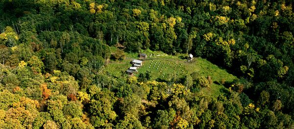 Tajga - Sputnik Srbija