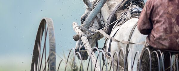 Prizor sa sela - Sputnik Srbija