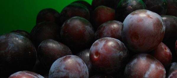 Шљиве - Sputnik Србија