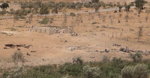 Место сукоба Сиријске војске и терориста ДАЕШ-а у граду Хама, Сирија Место сукоба Сиријске војске и терориста ДАЕШ-а у граду Хама, Сирија - Sputnik Србија