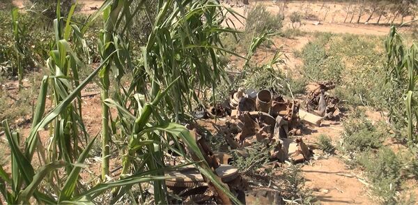 Место сукоба Сиријске војске и терориста ДАЕШ-а у граду Хама, Сирија Место сукоба Сиријске војске и терориста ДАЕШ-а у граду Хама, Сирија - Sputnik Србија