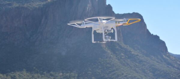 Дрон - Sputnik Србија