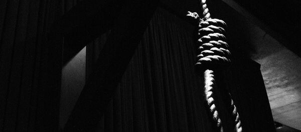 Vešanje ilustracija - Sputnik Srbija