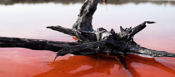 Црвено језеро - Sputnik Србија