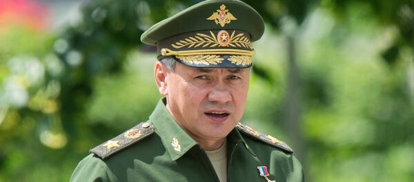 Сергеј Шојгу - Sputnik Србија