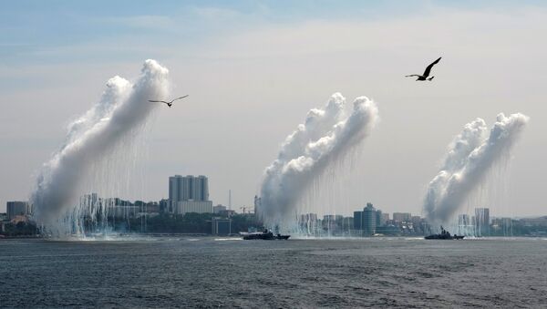 Галебови поред ратних бродова који испаљују противракетне пројектиле током прославе Дана морнарице у Владивостоку, у Русији - Sputnik Србија