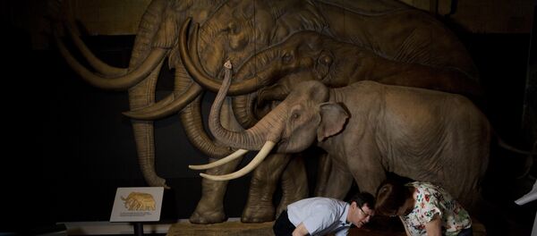 Mamuti - Sputnik Srbija