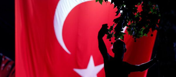 Застава Турске - Sputnik Србија