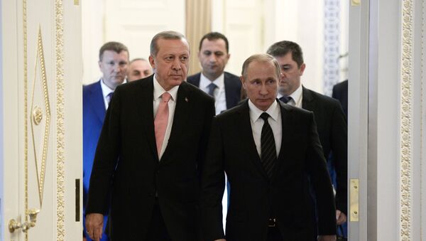 Састанак председника Русије и Турске Владимира Путина и Реџепа Тајипа Ердогана у Санкт Петербургу - Sputnik Србија