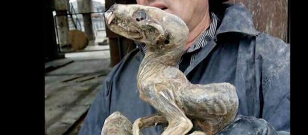 Бизарно мумифицирано створење - Sputnik Србија