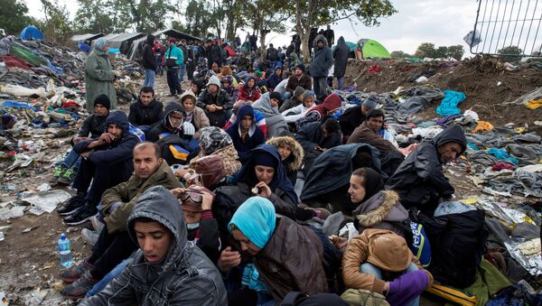 Migranti sede duž puta dok čekaju da pređu granicu sa Hrvatskom u blizini sela Berkasovo u Srbiji. - Sputnik Srbija