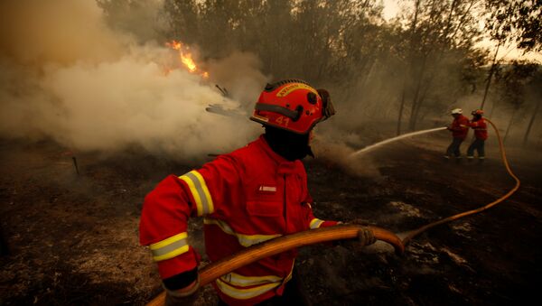Vatrogasci gase šumski požar u blizini Aguede u Portugaliji. - Sputnik Srbija