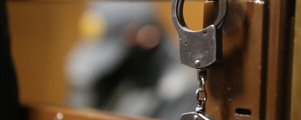 Лисице - Sputnik Србија