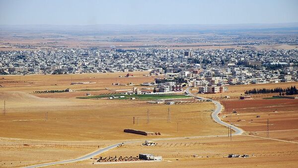 Pogled na grad Salamiju, Sirija - Sputnik Srbija