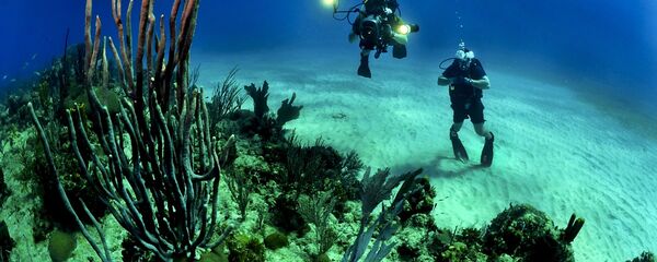 Рониоци на дну океана - Sputnik Србија