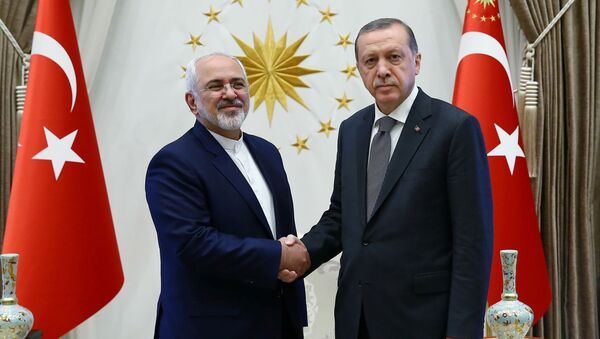 Ministar spoljnih poslova Irana Muhamed Džavad Zarif i Turski predsednik Redžep Tajip Erdogan - Sputnik Srbija