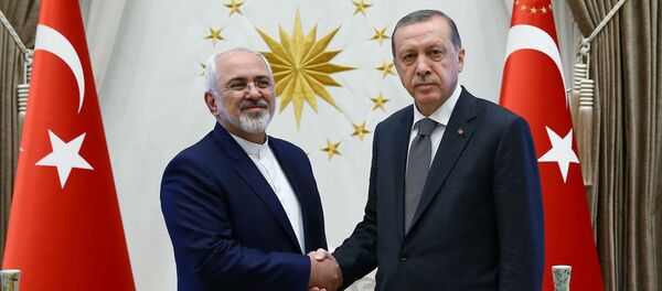 Министар спољних послова Ирана Мухамед Џавад Зариф и Турски председник Реџеп Тајип Ердоган - Sputnik Србија