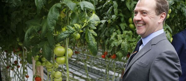 Премијер Русије Дмитриј Медведев Премијер Русије Дмитриј Медведев - Sputnik Србија