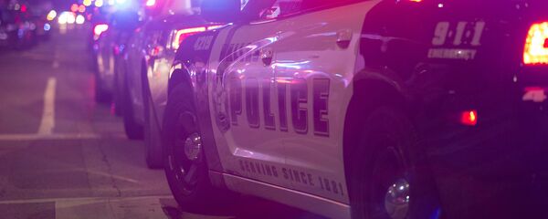 Policija - Sputnik Srbija