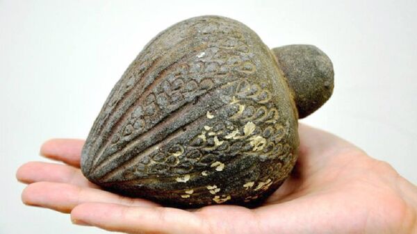 Ručna granata, jedan od artefakata pronađenih u moru i predatih Izraelskoj agenciji za antikvitete - Sputnik Srbija