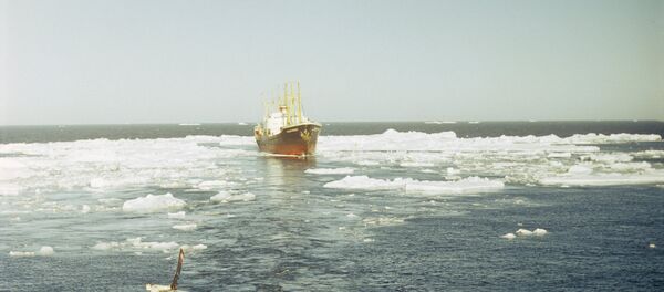 Северни морски пут Северни морски пут - Sputnik Србија