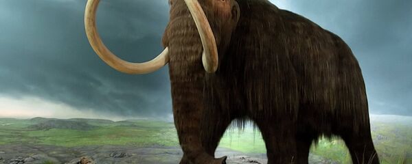 Mamut Mamut - Sputnik Srbija