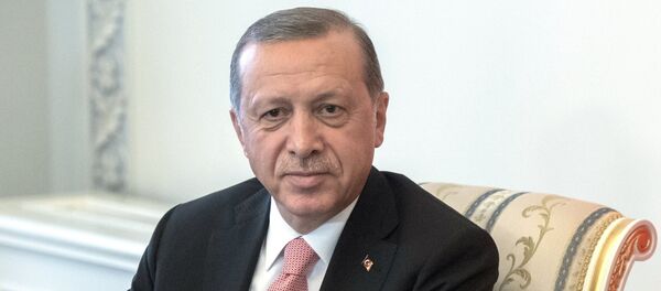 Турски председник Реџеп Тајип Ердоган Турски председник Реџеп Тајип Ердоган - Sputnik Србија