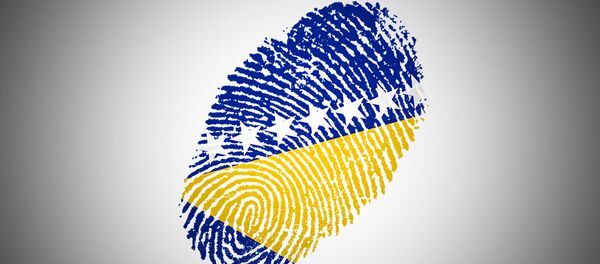 Bocna i Hercegovina - ilustracija Bocna i Hercegovina - ilustracija - Sputnik Srbija