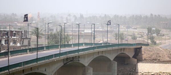 Заставе ДАЕШ-а на мосту преко реке Еуфрат у Фалуџи. - Sputnik Србија