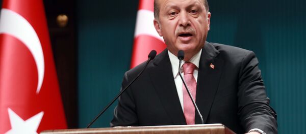 Председник Турске Реџеп Тајип Ердоган - Sputnik Србија