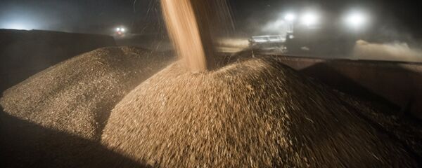 Pšenica - Sputnik Srbija
