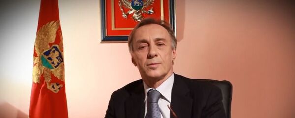 Миодраг Лекић - Sputnik Србија