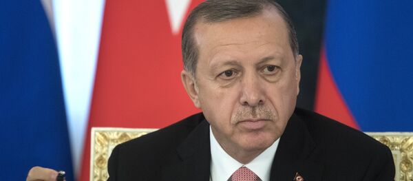 Predsednik Turske Redžep Tajip Erdogan Predsednik Turske Redžep Tajip Erdogan - Sputnik Srbija