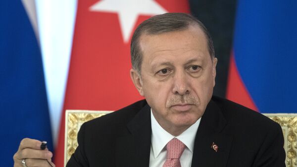 Председник Турске Реџеп Тајип Ердоган - Sputnik Србија
