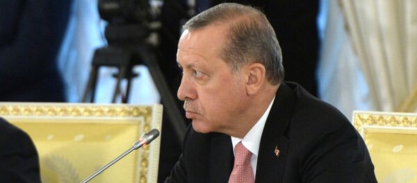 Председник Турске Реџеп Тајип Ердоган - Sputnik Србија