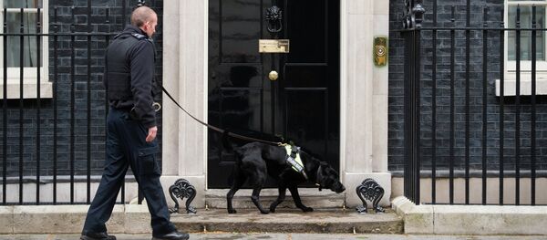 Кабинет премијера Велике Британије, Даунинг стрит 10, Лондон - Sputnik Србија