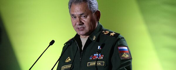 Ruski ministar odbrane Sergej Šojgu - Sputnik Srbija