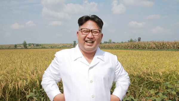 Севернокорејски лидер Ким Џонг Ун - Sputnik Србија