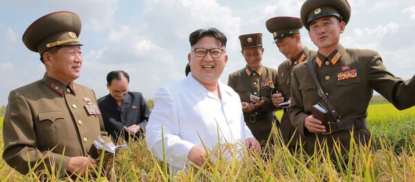 Севернокорејски лидер Ким Џонг Ун - Sputnik Србија