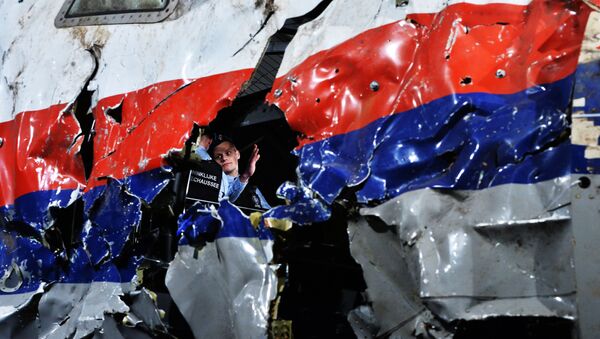 Olupina malezijskog „boinga 777“ sa leta MH17 - Sputnik Srbija