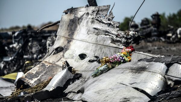 Olupina malezijskog „boinga 777“ sa leta MH17 - Sputnik Srbija