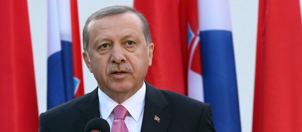 Председник Турске Реџеп Тајип Ердоган - Sputnik Србија