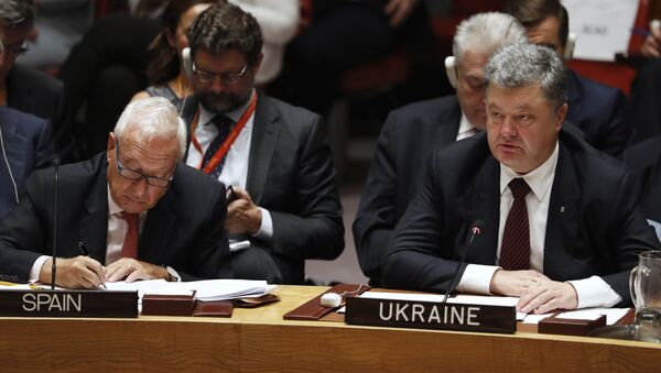 Ukrajinski predsednik Petro Porošenko na sednici SB UN - Sputnik Srbija