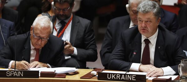 Украјински председник Петро Порошенко на седници СБ УН Украјински председник Петро Порошенко на седници СБ УН - Sputnik Србија