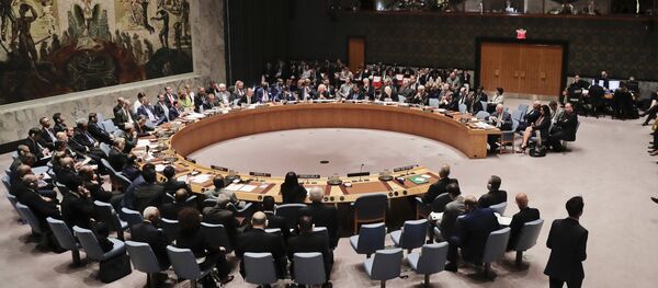 Članovi Saveta bezbednosti u sedištu UN Članovi Saveta bezbednosti u sedištu UN - Sputnik Srbija