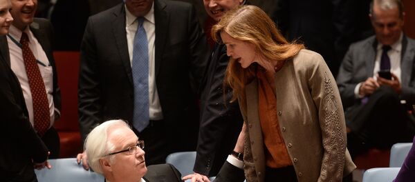 Виталиј Чуркин и Саманта Пауер - Sputnik Србија